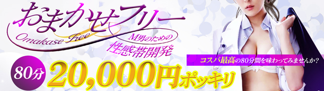 ８０分２０，０００円ポッキリ